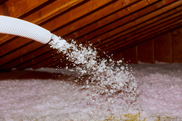 Best Crawl Space Insulation  in Rotan, TX