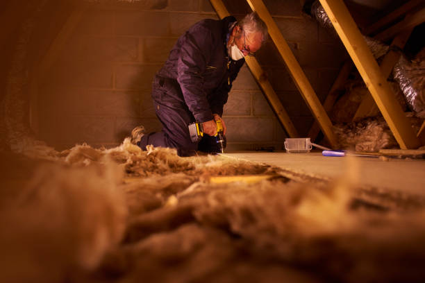 Best Wall Insulation Contractor  in Rotan, TX